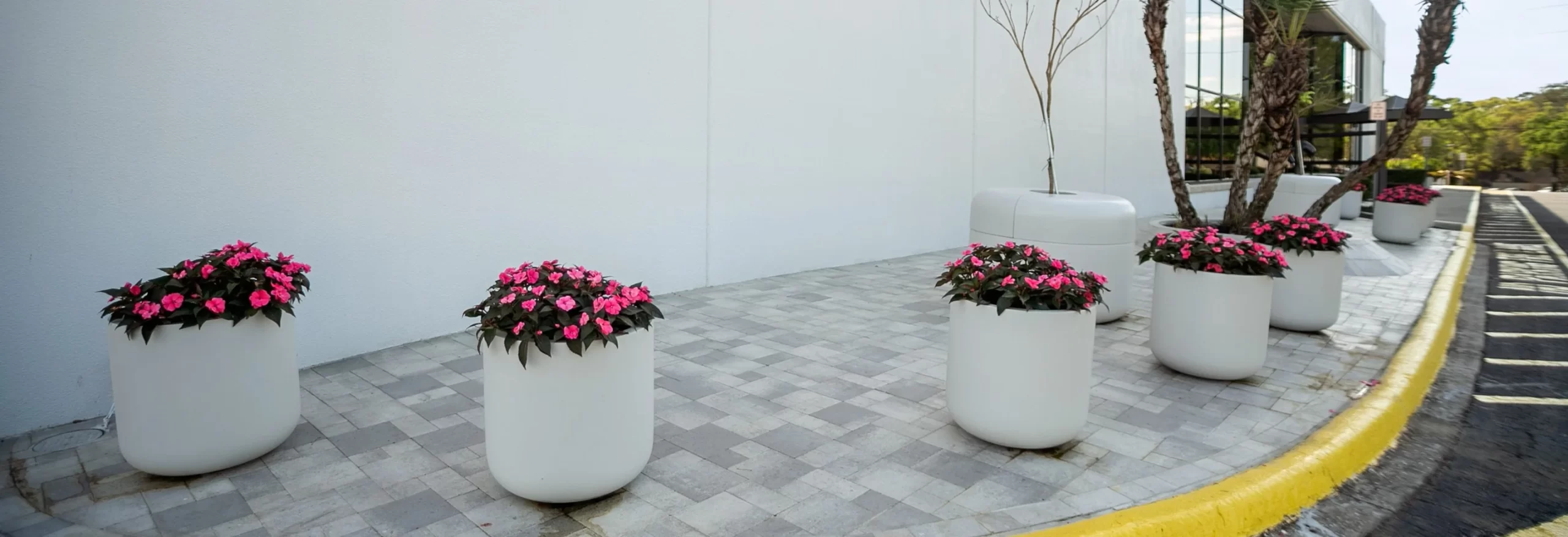 Cadde için Oval Saksı