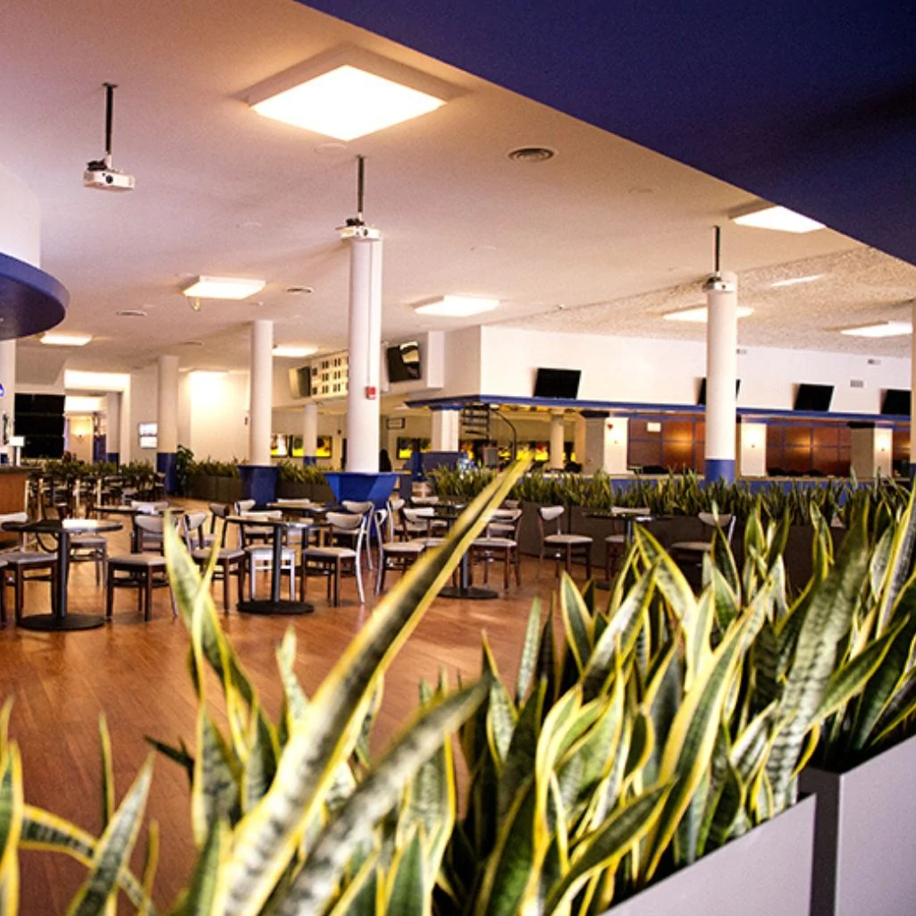Restoran için Dikdörtgen Saksı
