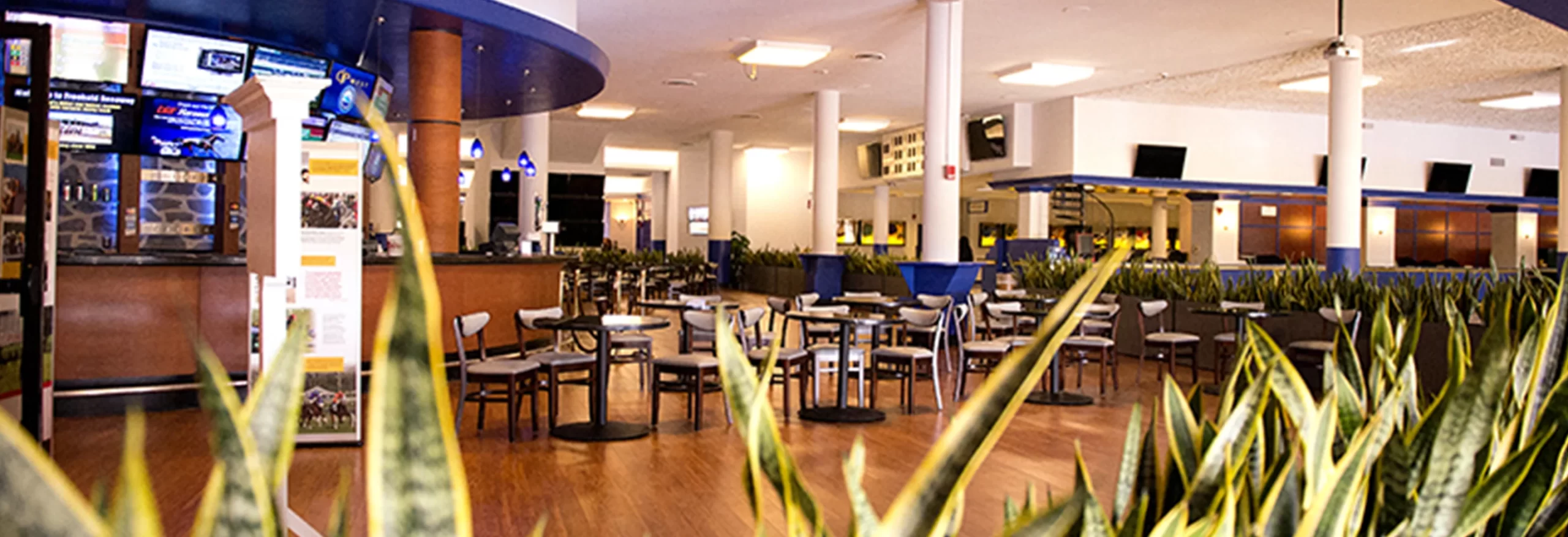 Restoran için Dikdörtgen Saksı