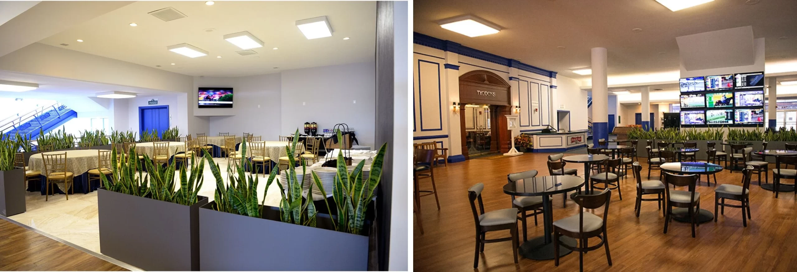 Restoran için Dikdörtgen Saksı