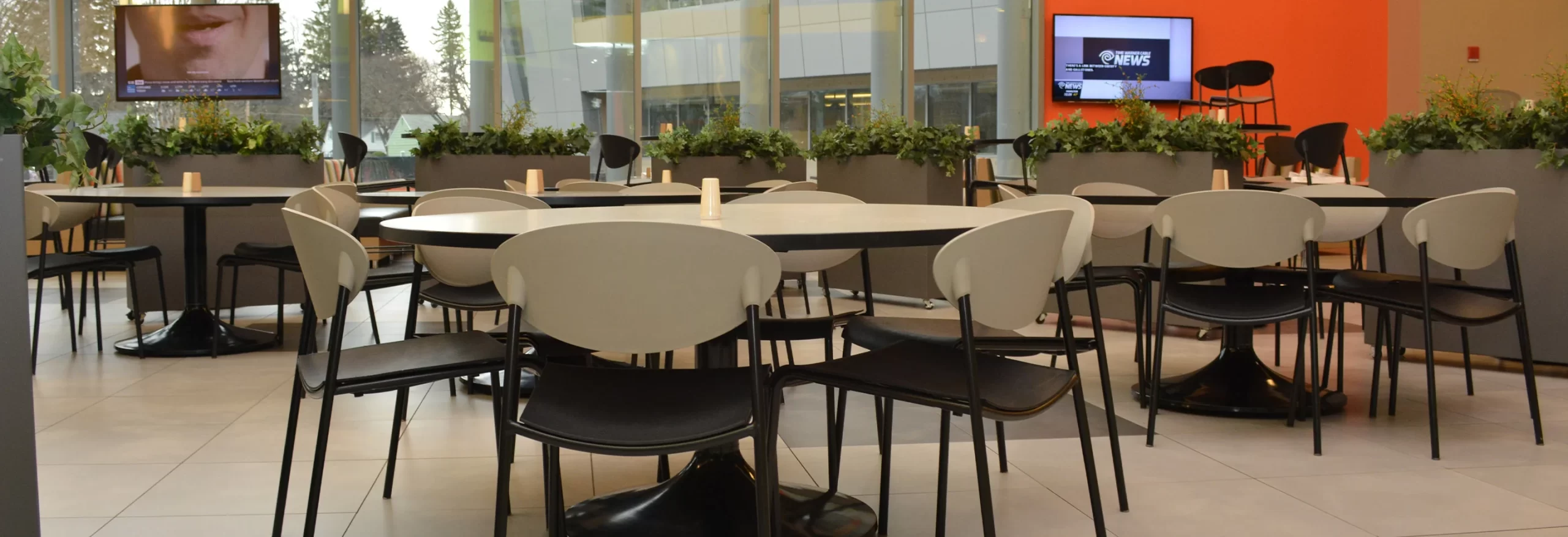 Restoran için Dikdörtgen Saksı