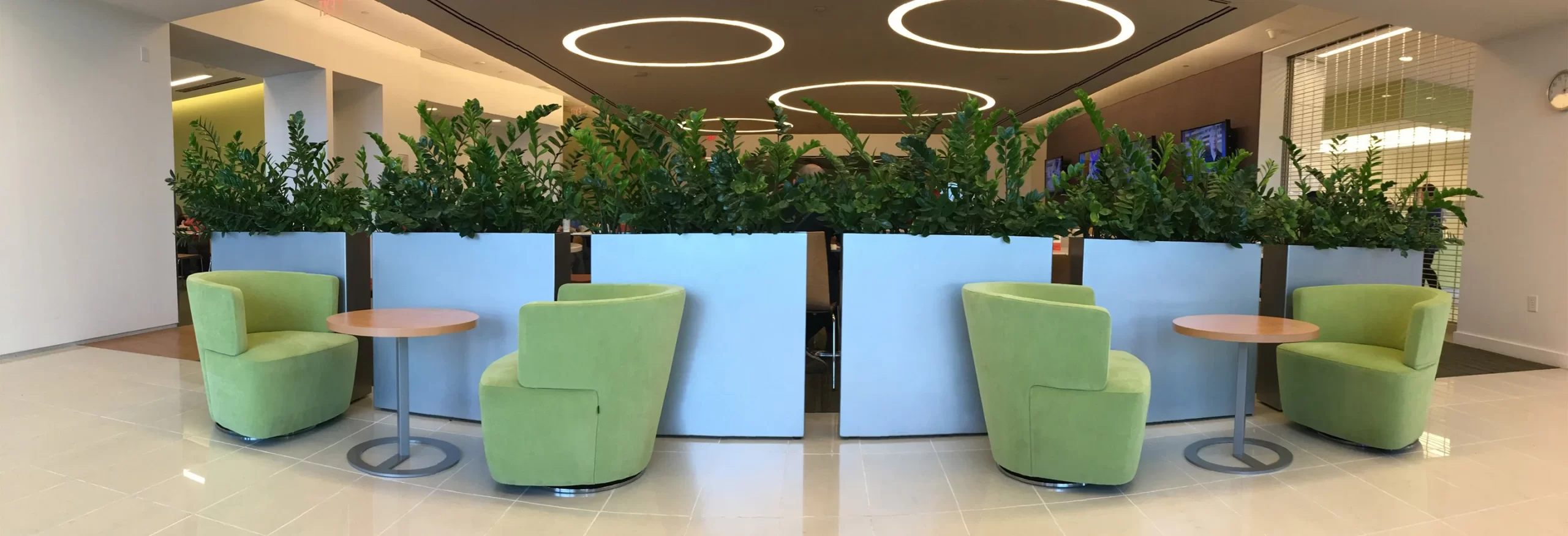 Ofis için Dikdörtgen Saksı