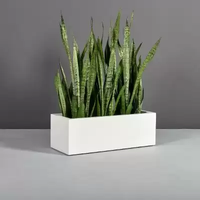 Modern Home Ve Ofis saksısı