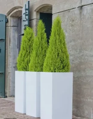 Dikdörtgen fiber saksı