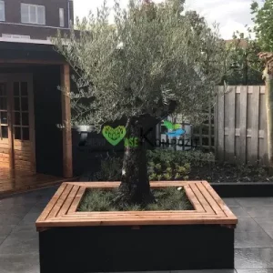 Kare büyük saksı