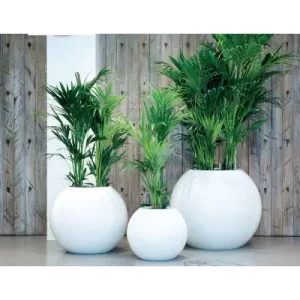Fiber küre saksı 3 lü set
